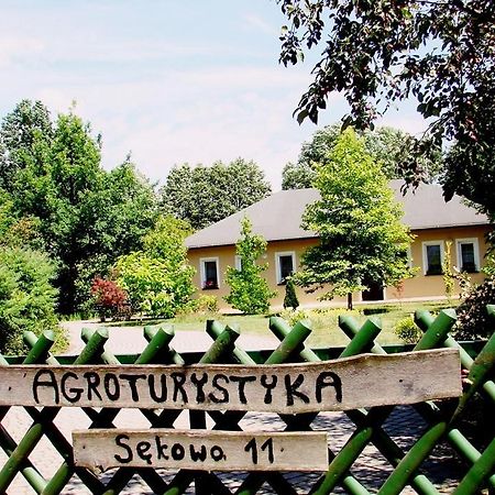 Agroturystyka Pod Modrzewiami Nowy Tomyśl エクステリア 写真