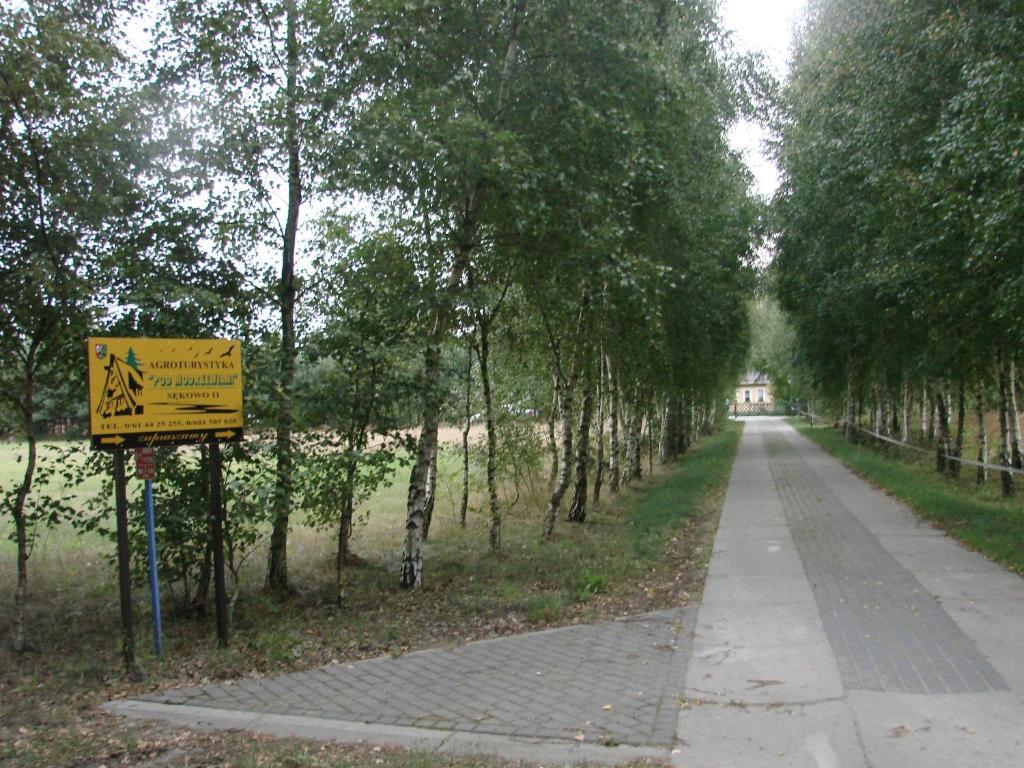 Agroturystyka Pod Modrzewiami Nowy Tomyśl エクステリア 写真