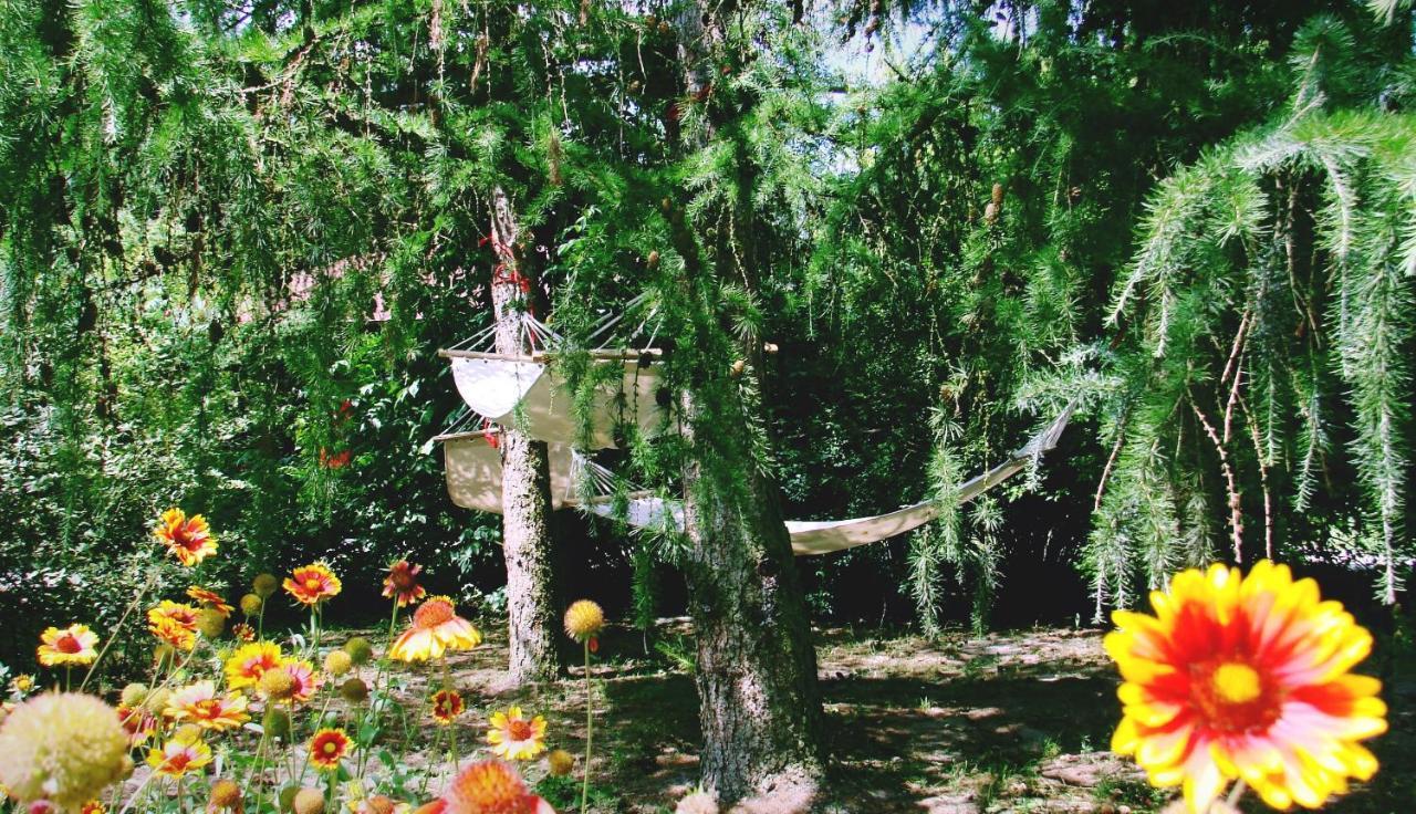 Agroturystyka Pod Modrzewiami Nowy Tomyśl エクステリア 写真