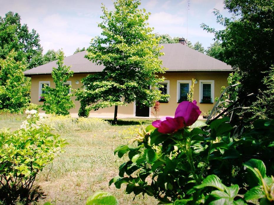 Agroturystyka Pod Modrzewiami Nowy Tomyśl エクステリア 写真